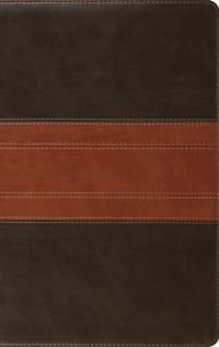 Book Cover for ESV Large Print Personal Size Bible (Trutone, Forest/Tan, Trail Design) by Esv Bibles