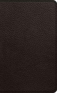 Book Cover for ESV Pocket Bible by Esv Bibles