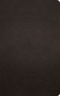 Book Cover for ESV Large Print Personal Size Bible (Buffalo Leather, Deep Brown) by Esv Bibles