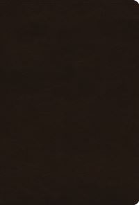 Book Cover for ESV Women's Study Bible (Trutone, Deep Brown) by Dana Tanamachi, Jen Wilkin, Lauren Chandler, Ann Voskamp, Trillia Newbell, Kristyn Getty, Nancy Guthrie, Kathleen Nielson, Joni Eareckson Tada