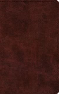 Book Cover for ESV Large Print Thinline Bible (Trutone, Mahogany) by Esv Bibles