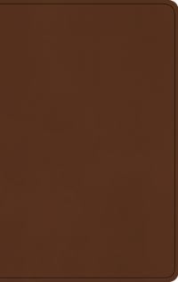Book Cover for ESV Large Print Value Thinline Bible (Trutone, Camel) by Esv Bibles