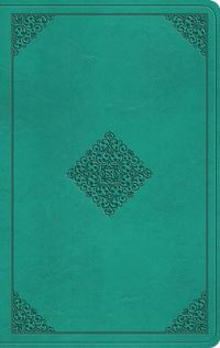 Book Cover for The Holy Bible by 
