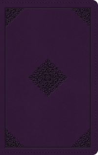 Book Cover for The Holy Bible by 