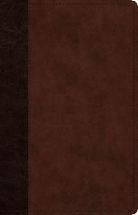 Book Cover for ESV Large Print Thinline Reference Bible (Trutone, Brown/Walnut, Timeless Design) by Esv Bibles