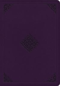 Book Cover for The Holy Bible by 