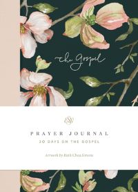 Book Cover for ESV Prayer Journal by Erika Allen