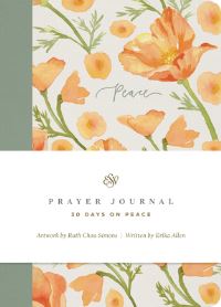 Book Cover for ESV Prayer Journal by Erika Allen