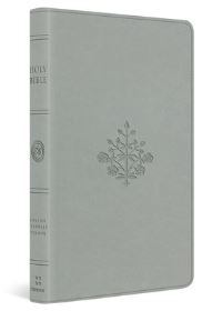 Book Cover for ESV Large Print Value Thinline Bible (Trutone, River Stone, Branch Design) by Esv Bibles