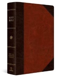 Book Cover for ESV Super Giant Print Bible (Trutone, Brown/Cordovan, Portfolio Design) by Esv Bibles