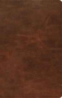 Book Cover for ESV Thinline Bible, Red Letter (Full Grain Leather, Deep Brown) by Esv Bibles