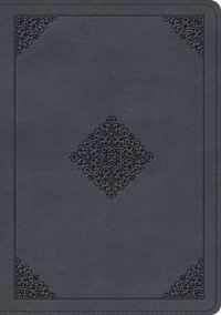 Book Cover for ESV Large Print Wide Margin Bible (Trutone, Slate Blue, Ornament Design) by Esv Bibles