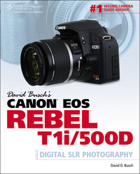 Book Cover for David Busch's Canon EOS Rebel T1i/500D Guide to Digital SLR Photography by David Busch