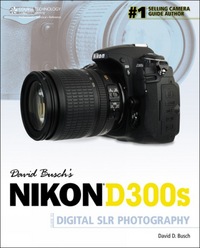 Book Cover for David Busch's Nikon D300s by David Busch
