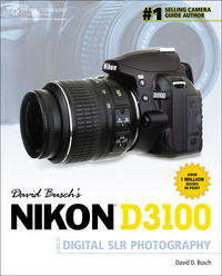 Book Cover for David Busch's Nikon D3100 by David D Busch