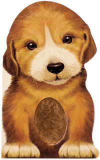 Book Cover for Furry Puppy by Annie Auerbach