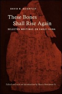 Book Cover for These Bones Shall Rise Again by David N Keightley