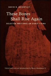Book Cover for These Bones Shall Rise Again by David N Keightley