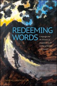 Book Cover for Redeeming Words by David Michael KleinbergLevin