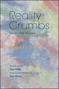 Book Cover for Reality Crumbs by Rachel Chalfi