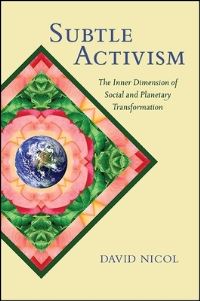 Book Cover for Subtle Activism by David Nicol