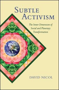 Book Cover for Subtle Activism by David Nicol