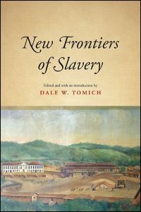 Book Cover for New Frontiers of Slavery by Dale W Tomich
