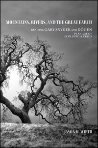 Book Cover for Mountains, Rivers, and the Great Earth by Jason M Wirth