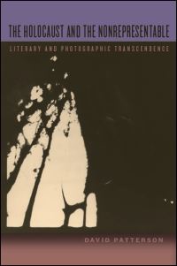 Book Cover for The Holocaust and the Nonrepresentable by David Patterson