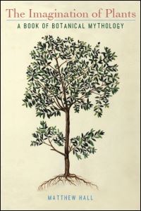 Book Cover for The Imagination of Plants by Matthew Hall