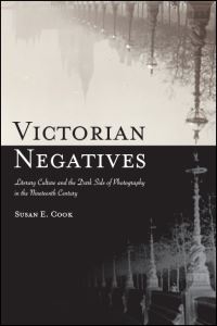 Book Cover for Victorian Negatives by Susan E Cook