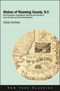 Book Cover for History of Wyoming County, N.Y by FW Beers  Co