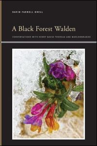 Book Cover for A Black Forest Walden by David Farrell Krell
