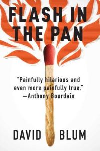 Book Cover for Flash in the Pan by Daniel Ellsberg