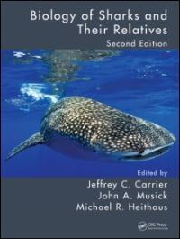 Book Cover for Biology of Sharks and Their Relatives by Jeffrey C Carrier, John A Musick, Michael R Heithaus