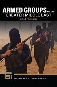 Book Cover for Armed Groups of the Greater Middle East by Melia T Pfannenstiel