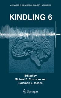 Book Cover for Kindling 6 by International Conference on Kindling, Michael E Corcoran, Solomon L Moshé