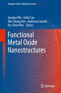 Book Cover for Functional Metal Oxide Nanostructures by Junqiao Wu
