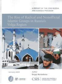 Book Cover for The Rise of Radical and Nonofficial Islamic Groups in Russia's Volga Region by Sergey Markedonov