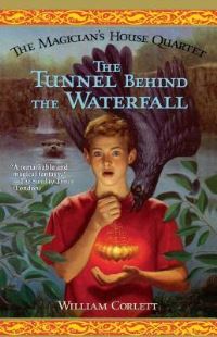 Book Cover for The Tunnel Behind the Waterfall by Salina Yoon