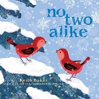Book Cover for No Two Alike by Keith Baker