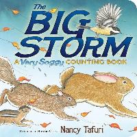Book Cover for The Big Storm by Nancy Tafuri