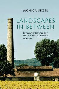 Book Cover for Landscapes in Between by Monica Seger