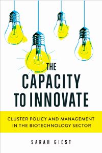 Book Cover for The Capacity to Innovate by Sarah Giest
