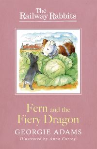 Book Cover for Fern and the Fiery Dragon by Georgie Adams