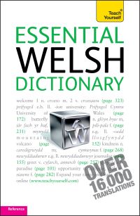Book Cover for Essential Welsh Dictionary by Edwin C Lewis