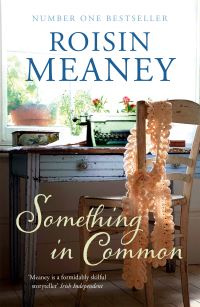 Book Cover for Something in Common by Roisin Meaney