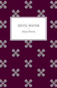 Book Cover for Devil Water by Anya Seton