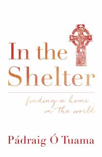 Book Cover for In the Shelter by Padraig Ó Tuama