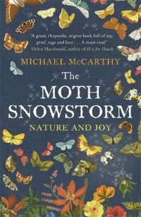 Book Cover for The Moth Snowstorm by Michael McCarthy